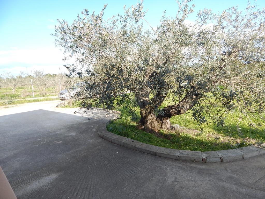 Residenza Rosa Maria Country House Orosei Værelse billede